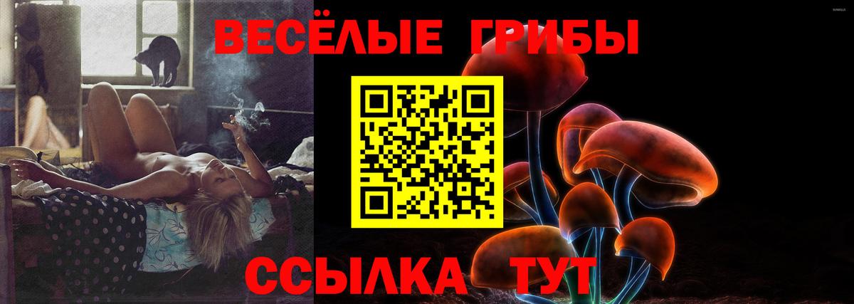 Псилоцибиновые грибы мицелий Нефтеюганск